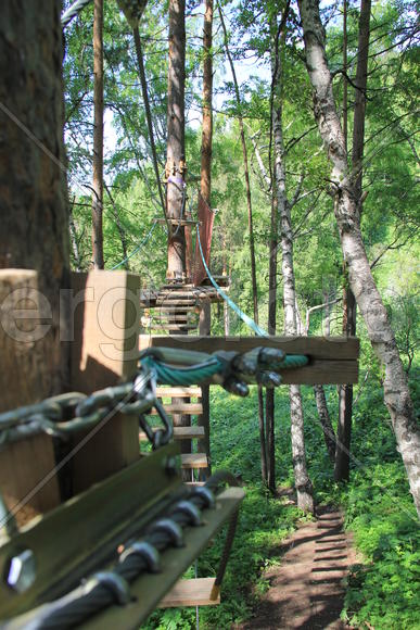 Подвесные лестницы на деревьях 