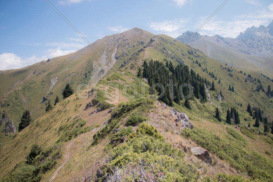 Пейзаж горного хрепта