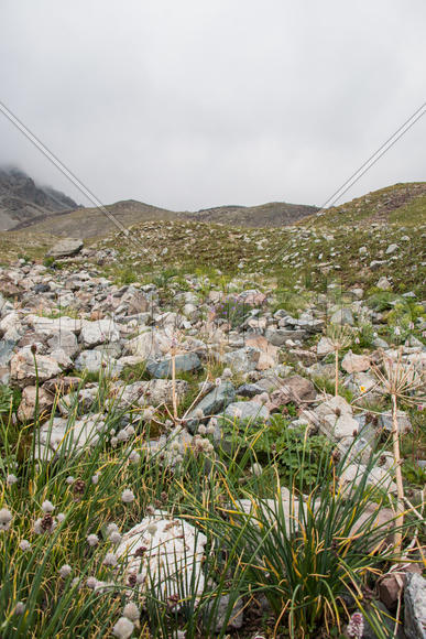 Валуны на горном склоне в тумане