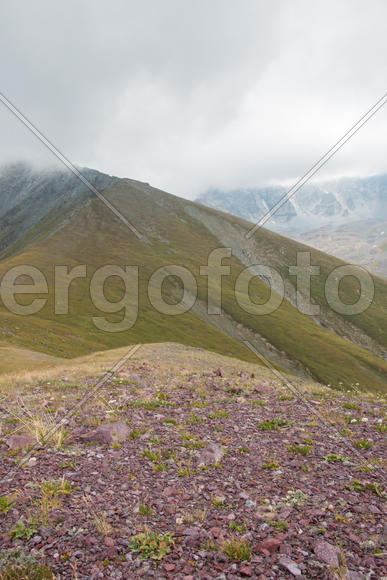 Горы касаются неба 