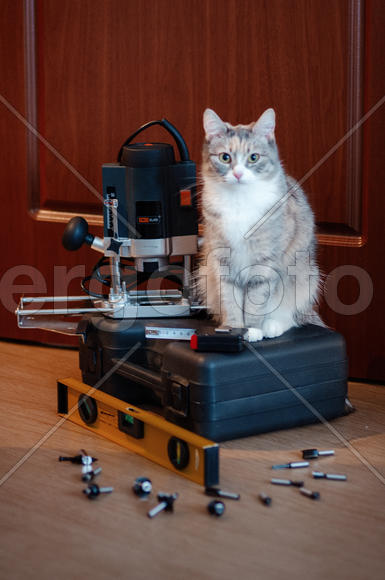 Кошка-фрезеровщик