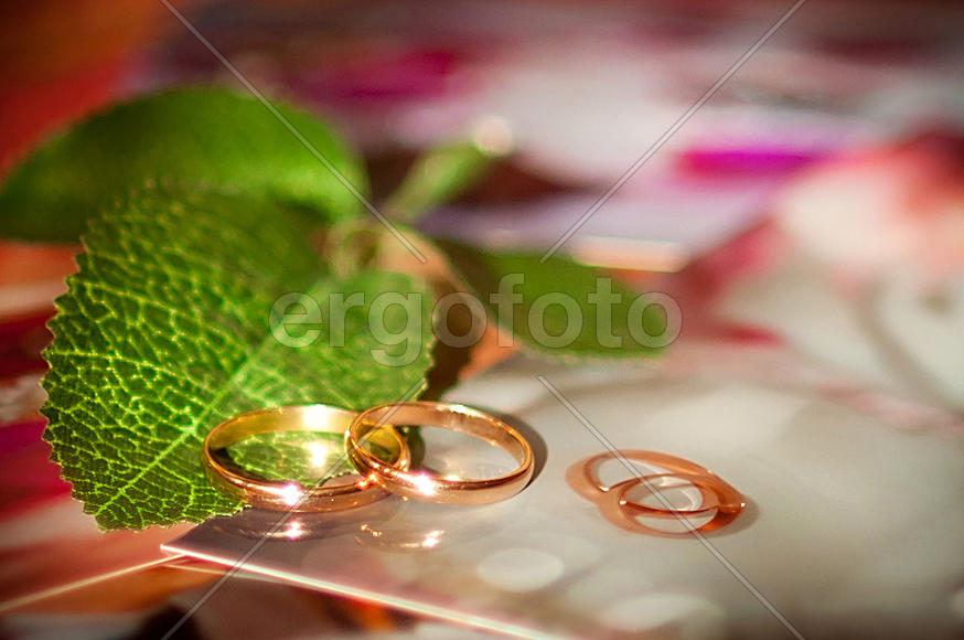 Обручальные кольца