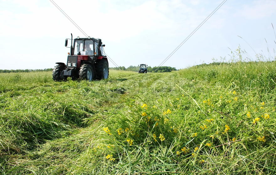 Сельскохозяйственная техника собирает урожай в поле 