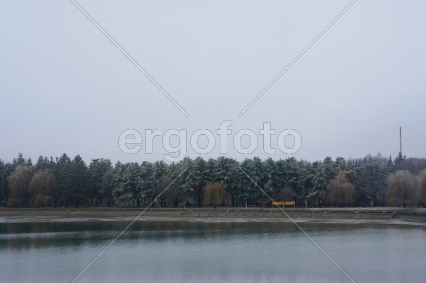 Озеро в парке