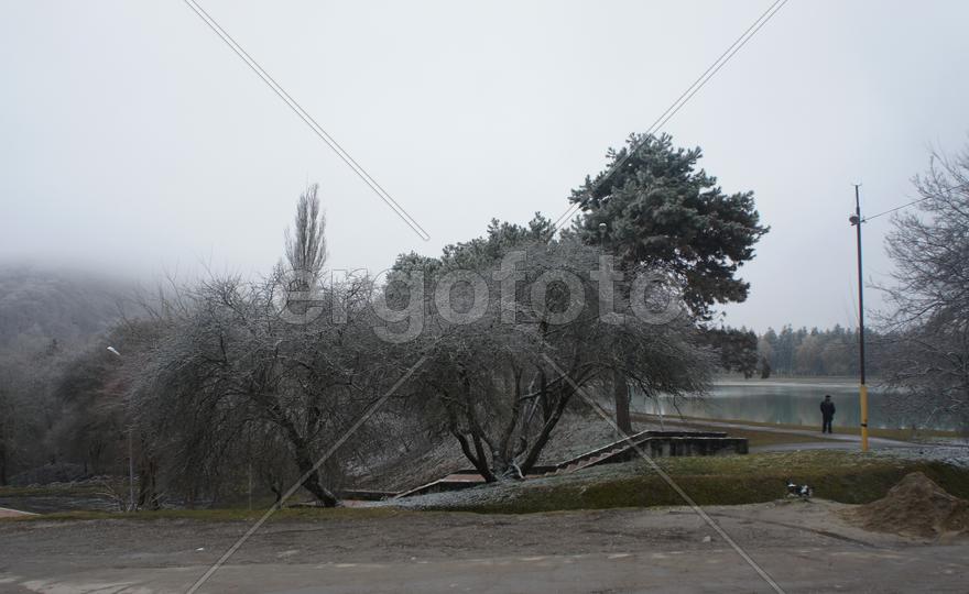 Зимний парк и озеро