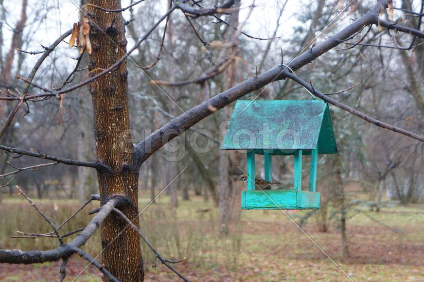 Кормушка для птиц