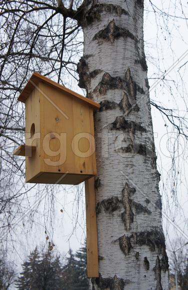 Скворечник для птиц