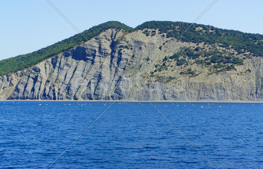 Скалистый берег