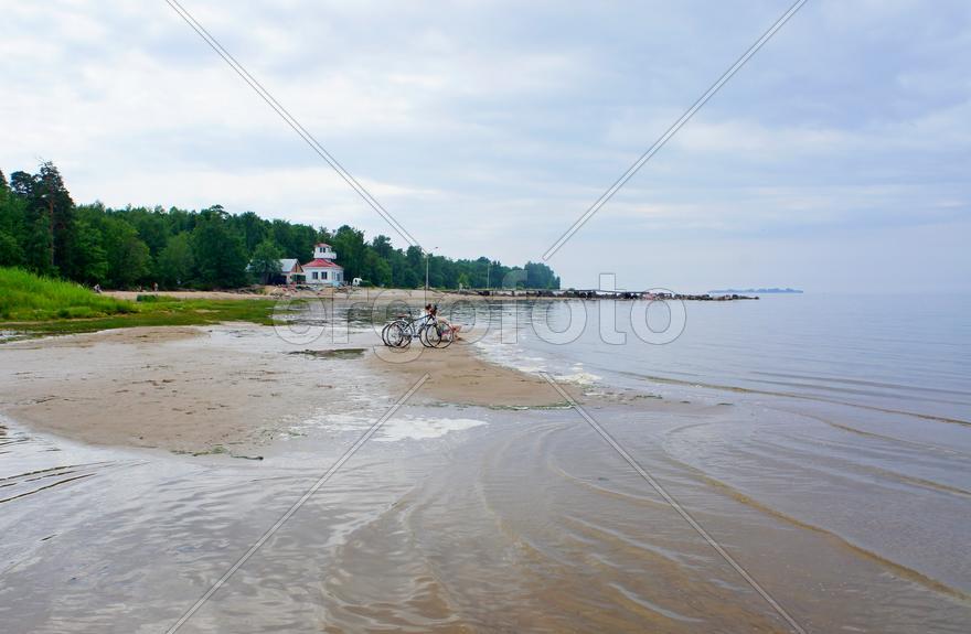 Финский залив