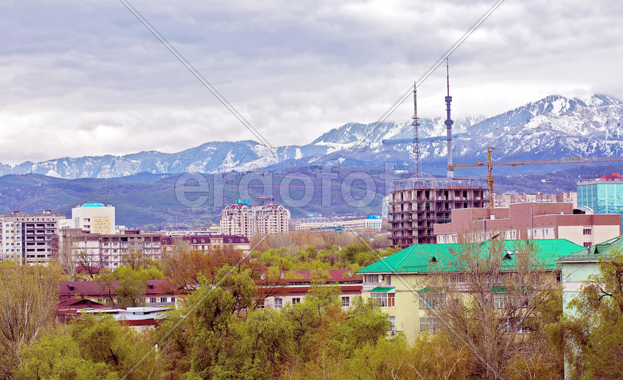 Город Алматы