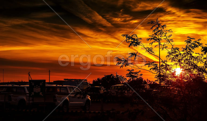 Рассвет в степи Южного Казахстана, осенью.