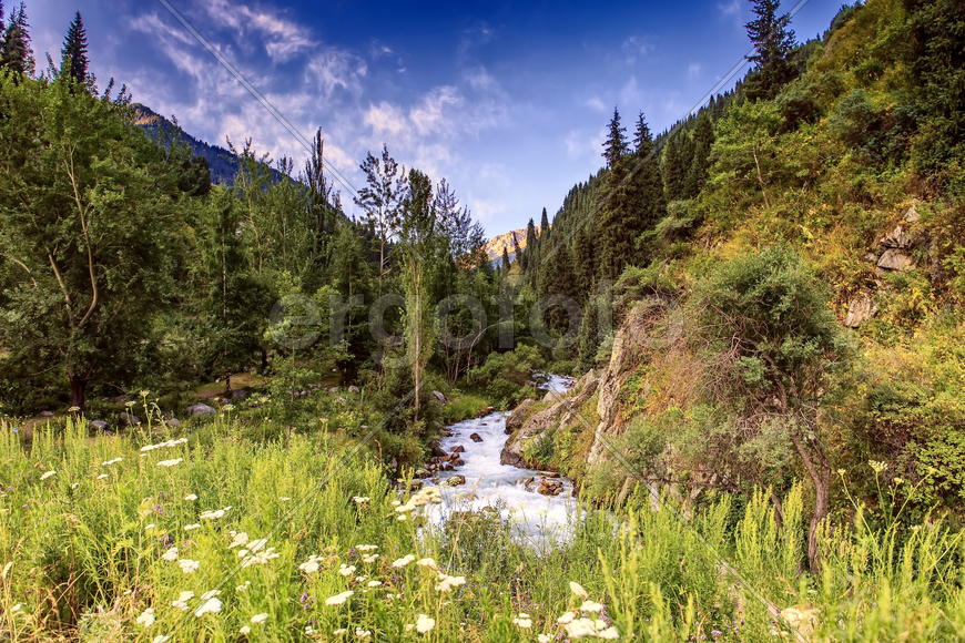 Горная река.