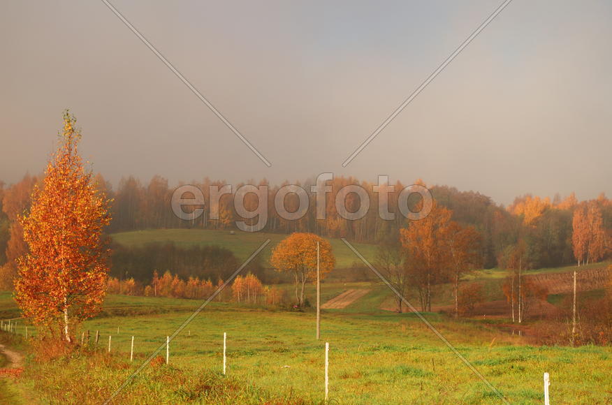 Пасмурно-солнечная осень