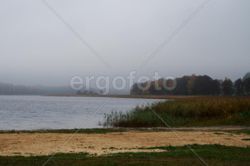 Берег озера