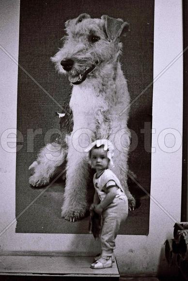 Ребенок и собака