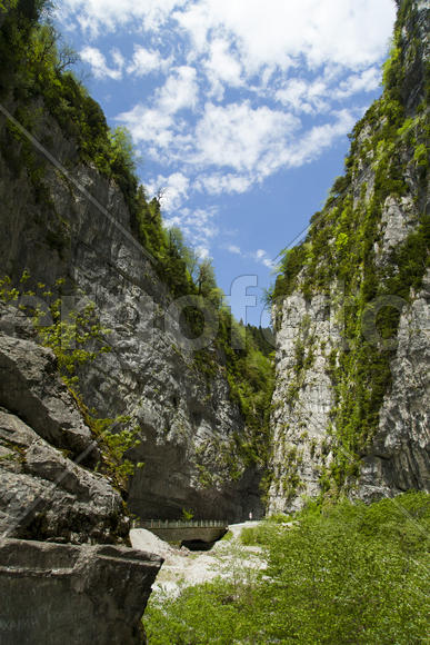 Mountains in the woods and snow are surrounded with clouds