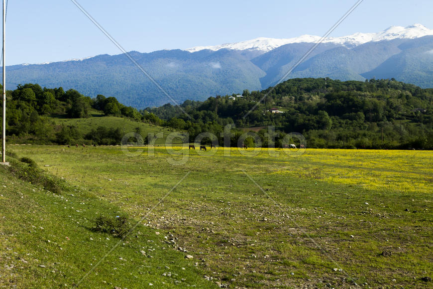 Mountains are covered with snow and the wood and surrounded with clouds
