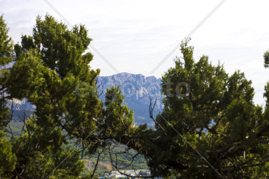 Mountains majestically tower it is necessary to all in the afternoon