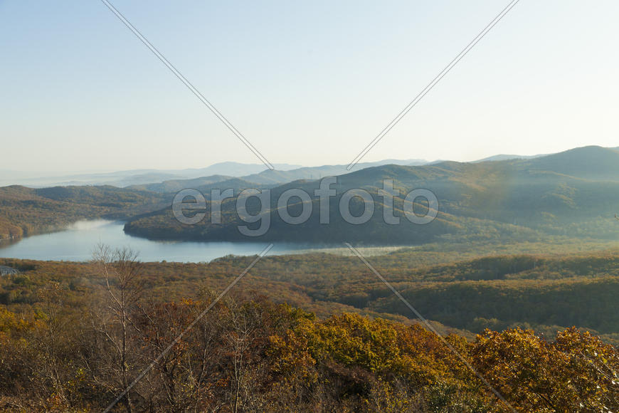Autumn forest colorful stands in the last days of autumn