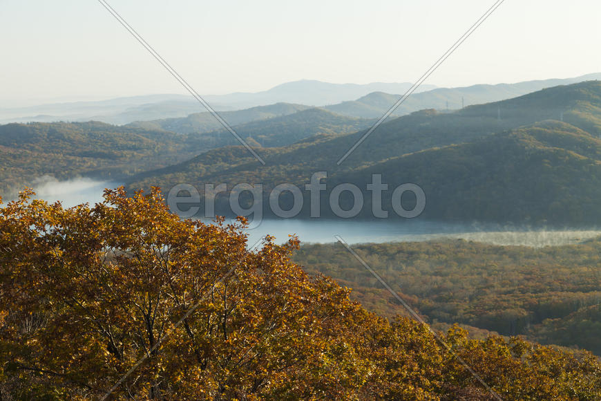 Autumn forest colorful stands in the last days of autumn