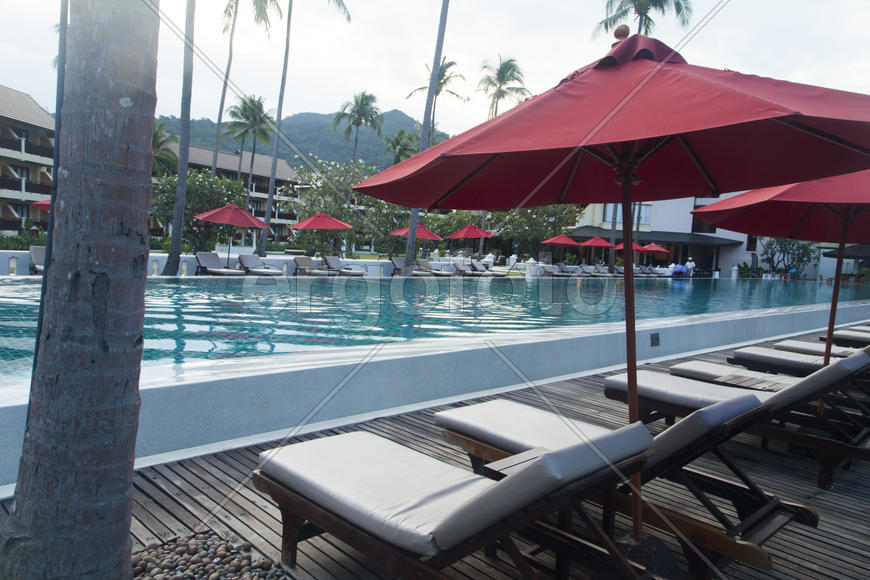 Palm trees at the pool it is very beautiful, but doesn't help from the sun