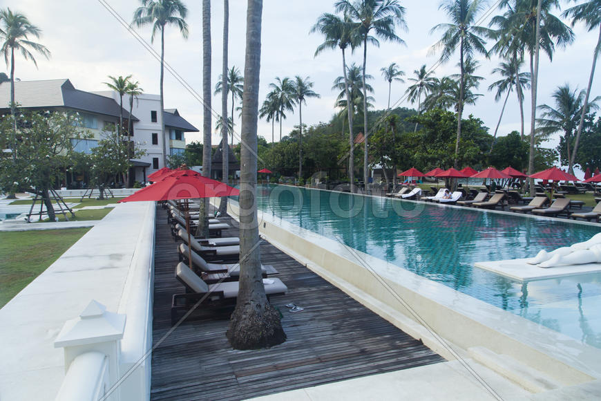 Palm trees at the pool it is very beautiful, but doesn't help from the sun