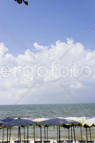 Palm trees grow on pleasure to the people having a rest and bathing ashore