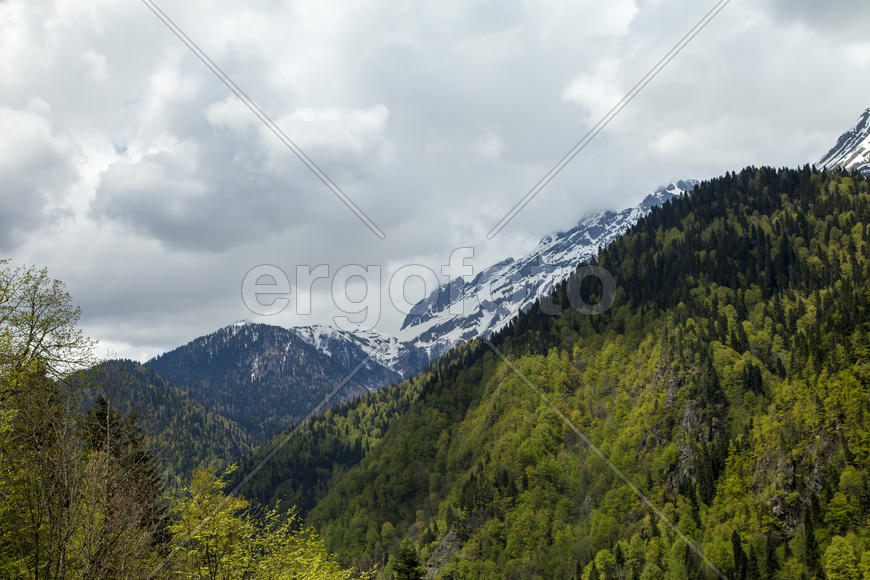 Mountains are covered with snow and the wood and surrounded with clouds