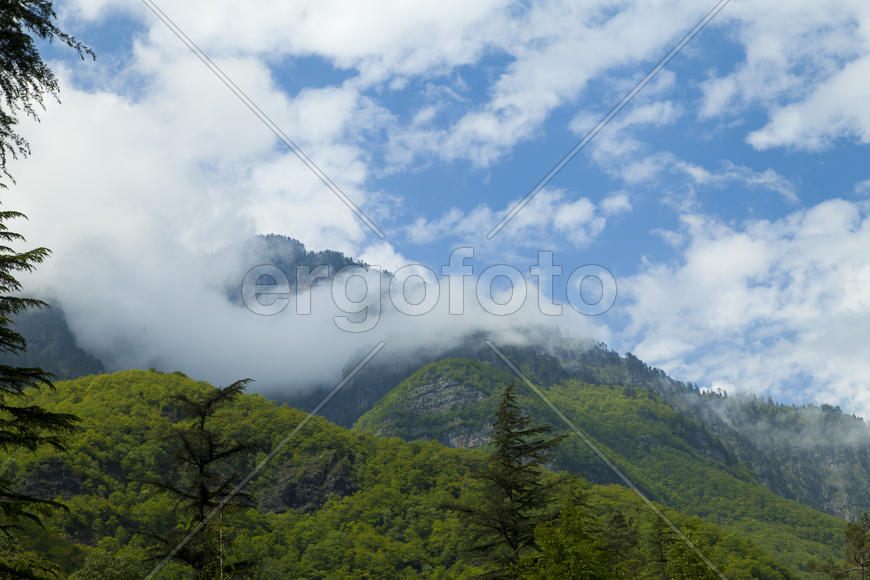Mountains in the woods and snow are surrounded with clouds