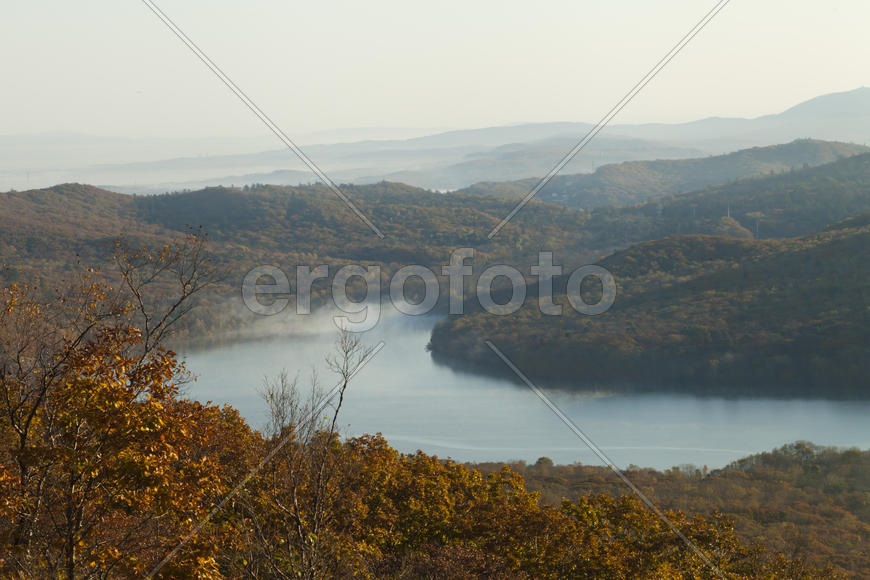 Autumn forest colorful stands in the last days of autumn