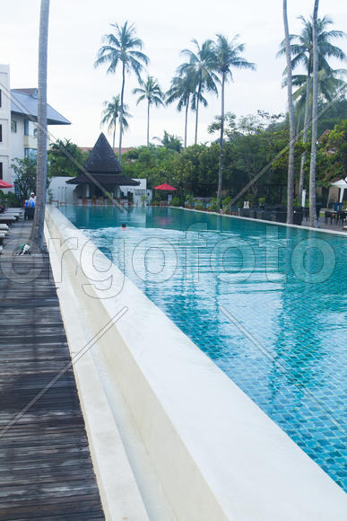 Palm trees at the pool it is very beautiful, but doesn't help from the sun
