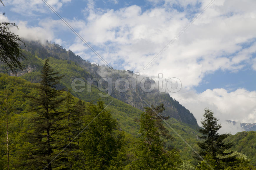 Mountains in the woods and snow are surrounded with clouds