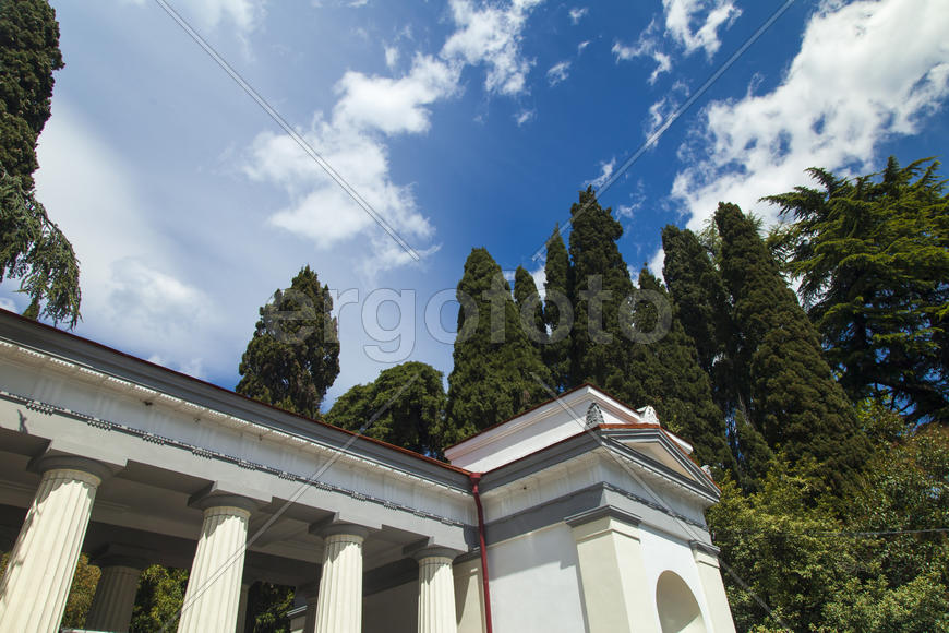 Palm trees and cypresses grow in the South and are pleasing to the eye beauty