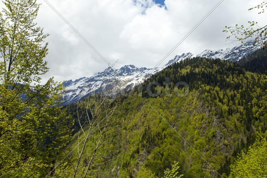 Mountains are covered with snow and the wood and surrounded with clouds