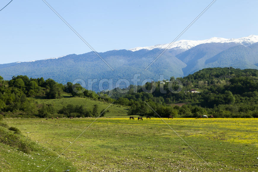 Mountains are covered with snow and the wood and surrounded with clouds