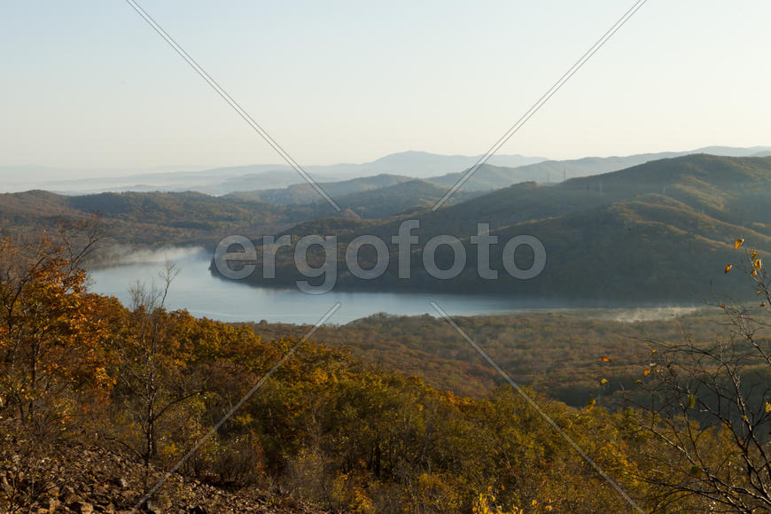 Autumn forest colorful stands in the last days of autumn