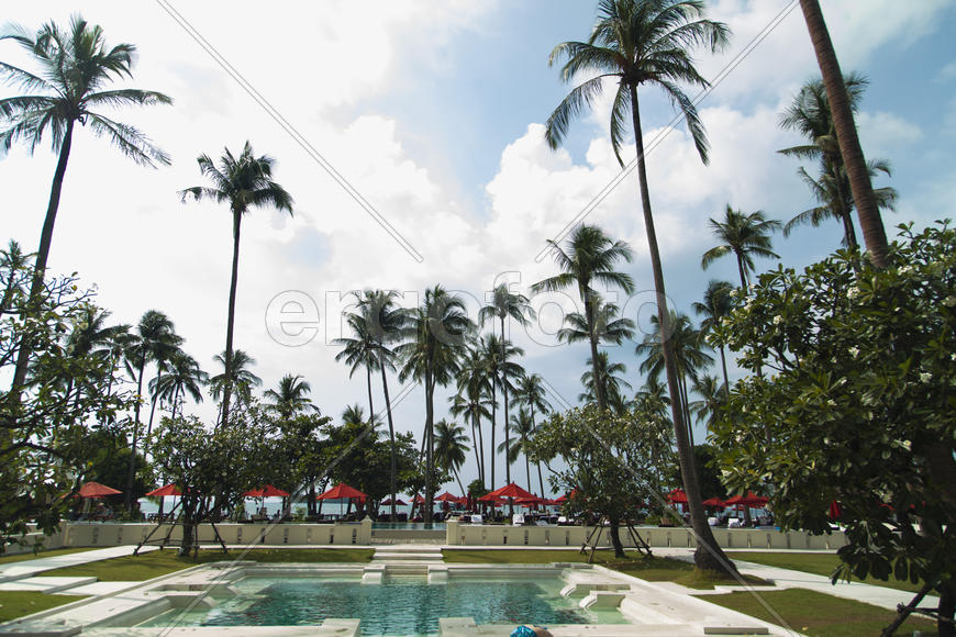 Palm trees over the pool don't close the pool from the sun at all, but it is beautiful