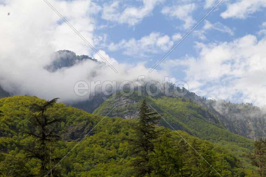 Mountains in the woods and snow are surrounded with clouds