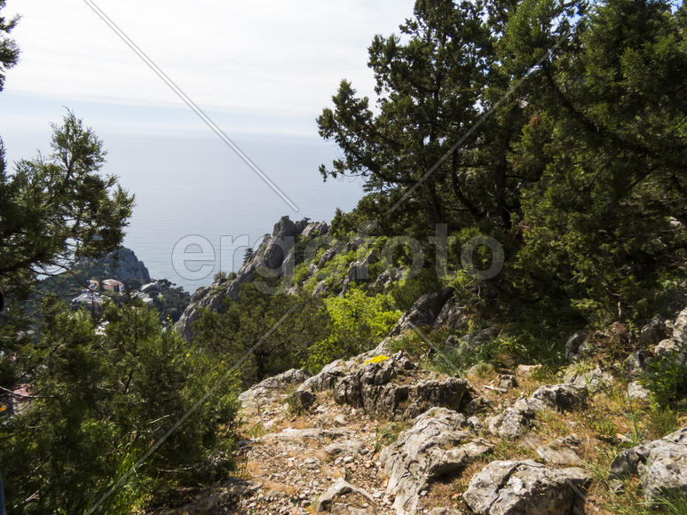 The sea and mountains in beams of a bright sun