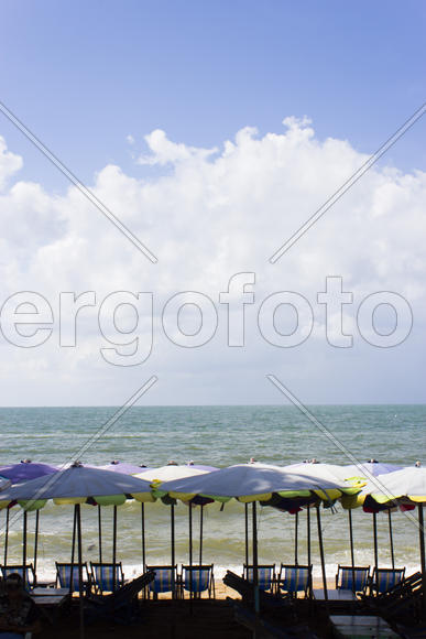 Palm trees grow on pleasure to the people having a rest and bathing ashore