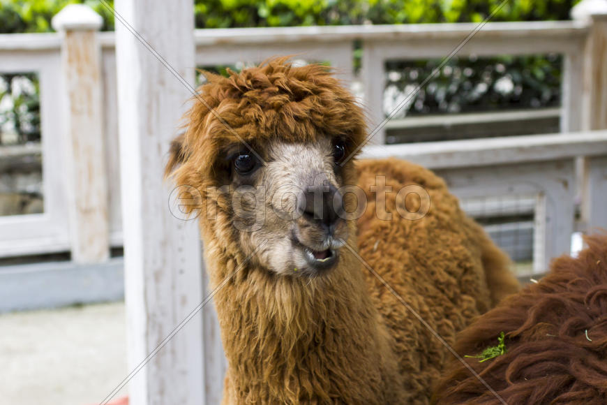 Monument to the flooded Russian ships in a bay