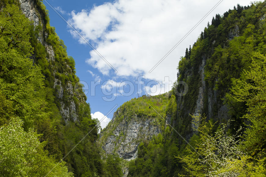 Mountains in the woods and snow are surrounded with clouds