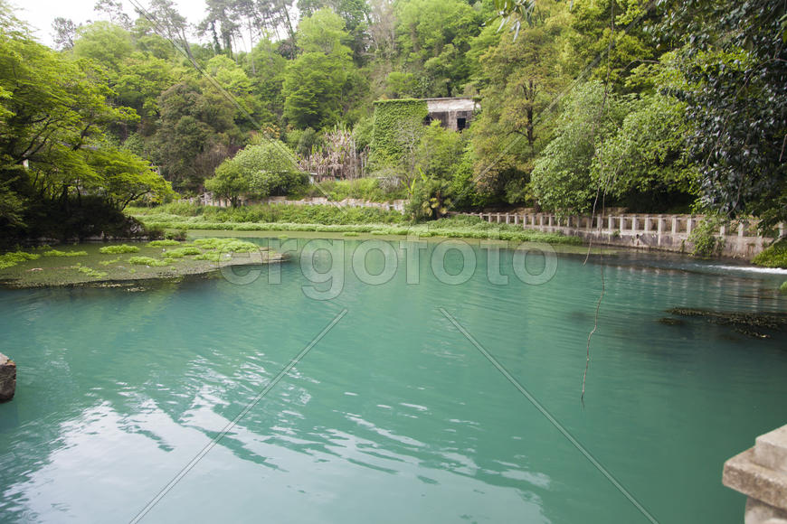 The blue river flows between thickets from palm trees and tropical trees
