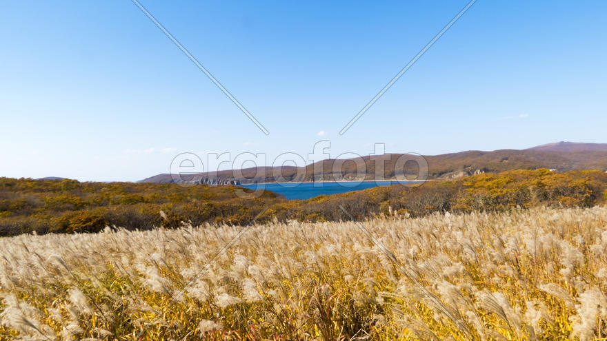 The sea under the bright autumn sun prepares for winter