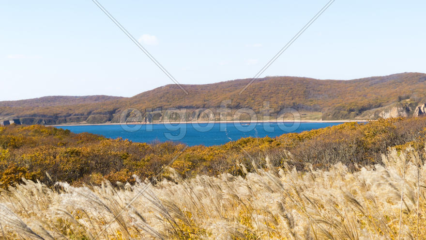 The sea under the bright autumn sun prepares for winter