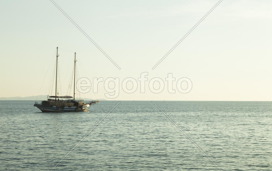 Palm trees grow on pleasure to the people having a rest and bathing ashore