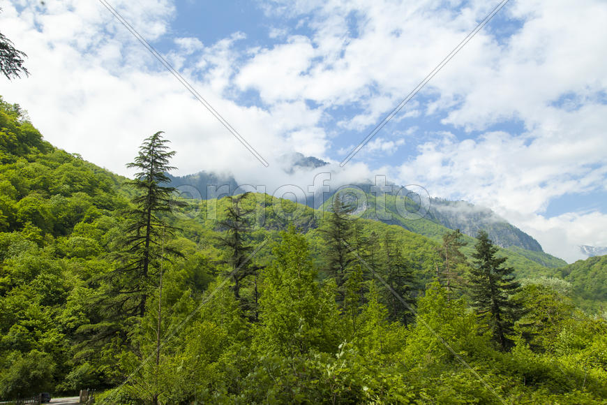 Mountains in the woods and snow are surrounded with clouds