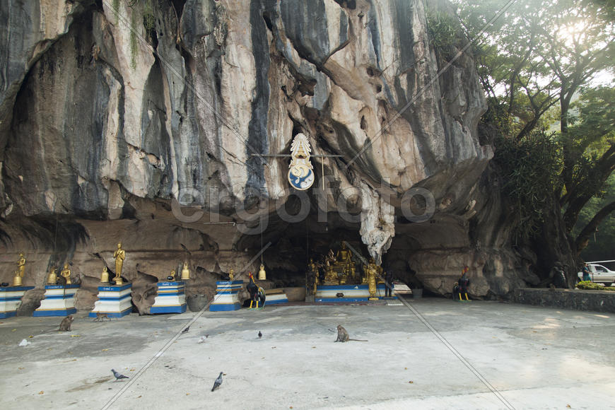 Monkeys in the Buddhist temple meet visitors and parishioners