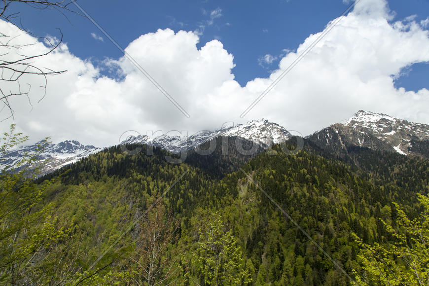 Mountains are covered with snow and the wood and surrounded with clouds