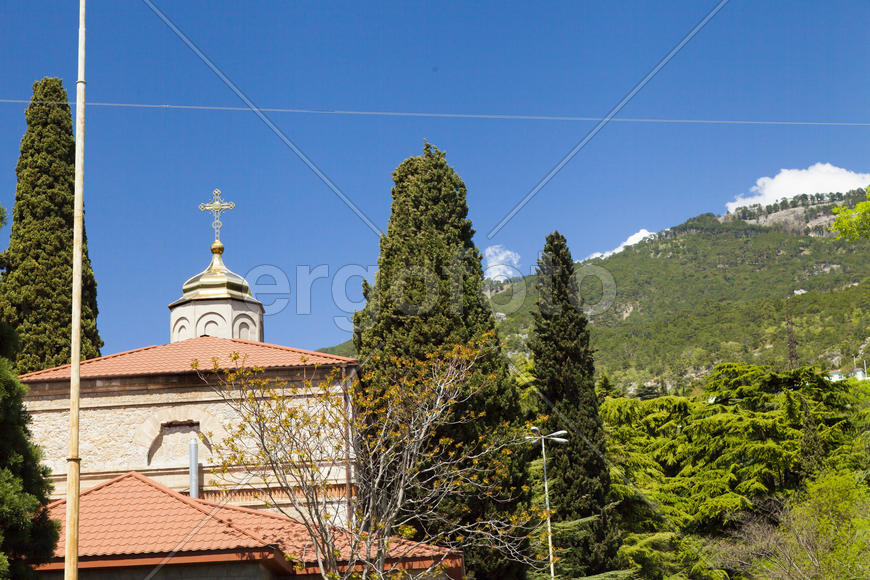 Palm trees and cypresses grow in the South and are pleasing to the eye beauty